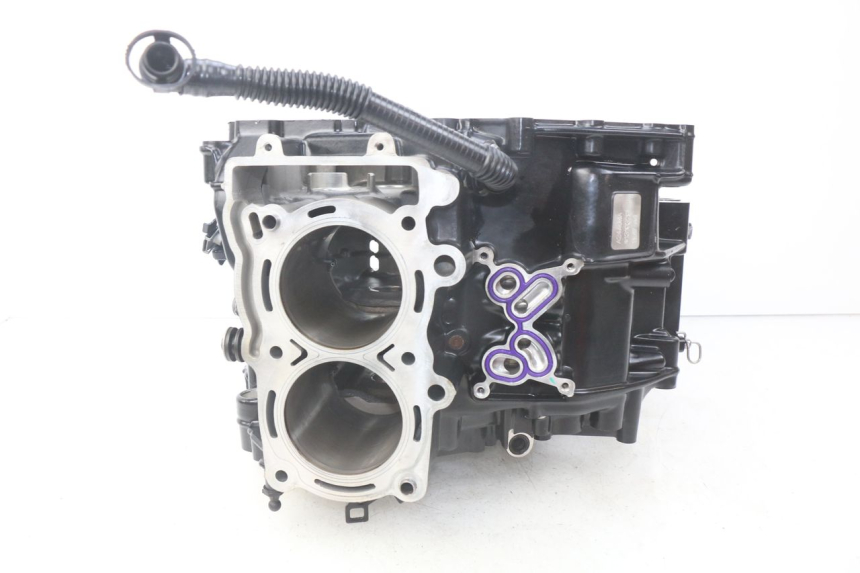 photo de CARTER MOTORE INFERIORE BMW F GS K81 850 (2018 - 2023)