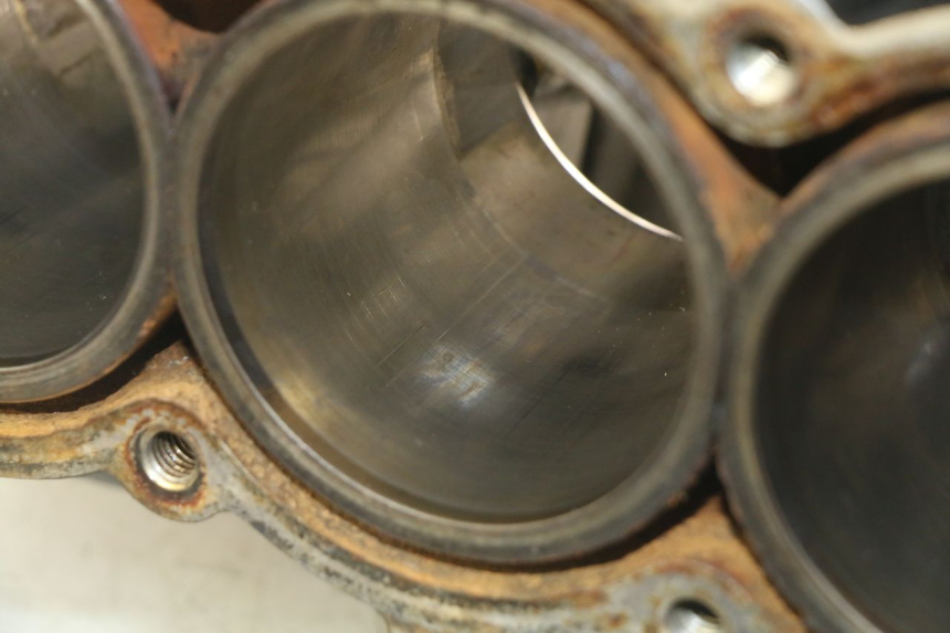 photo de CARTER BAS MOTORE TRIUMPH SPRINT ST 955 (1999 - 2001)