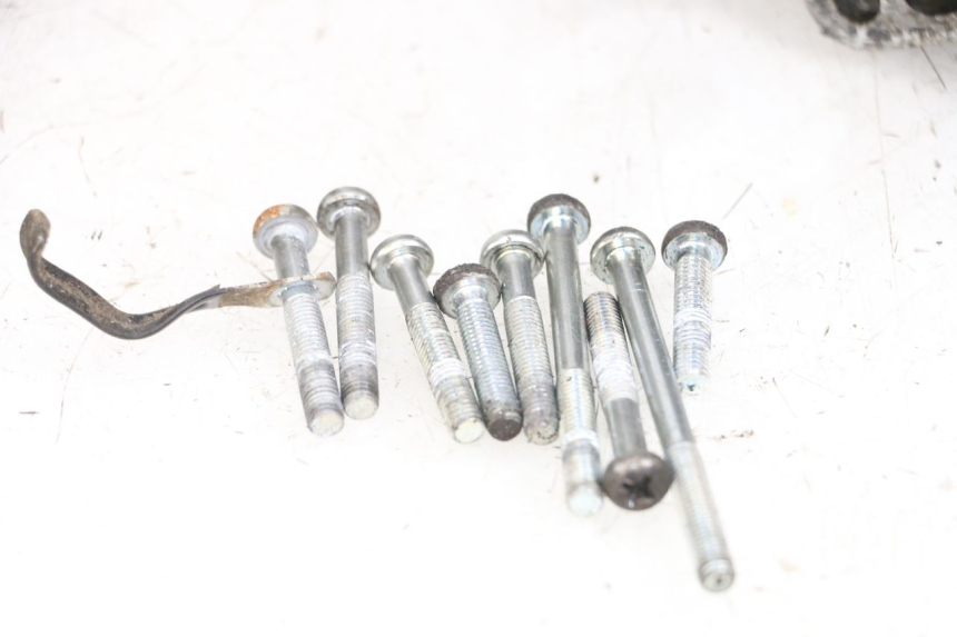 photo de CARTER MOTORE SUZUKI TS X 80 (1984 - 1988)