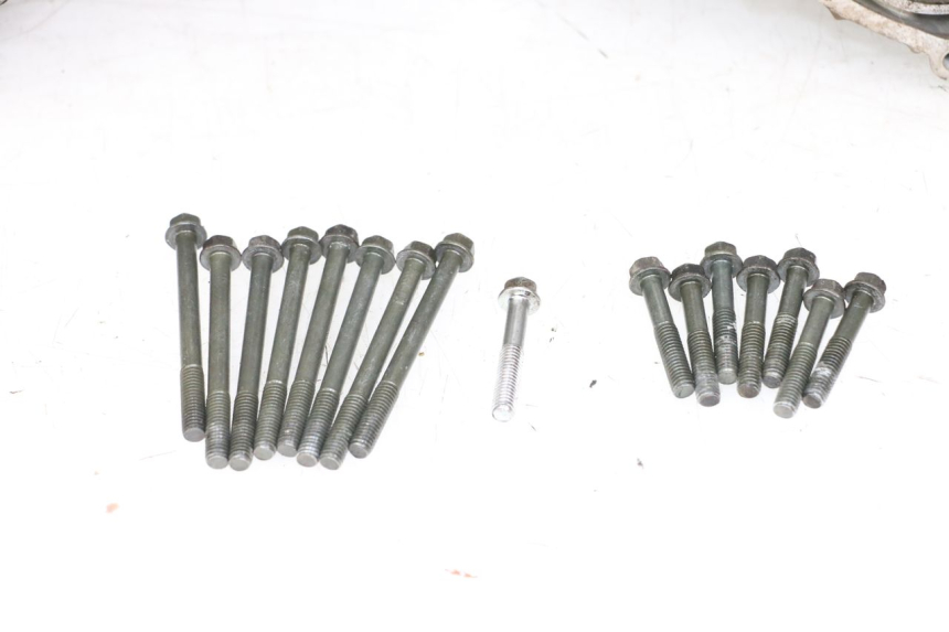 photo de CARTER MOTORE SUZUKI VL INTRUDER 125 (2004 - 2007)