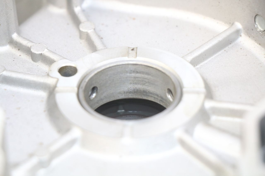 photo de CARTER MOTORE SINISTRO APRILIA SCARABEO LIGHT 125 (2007 - 2011)
