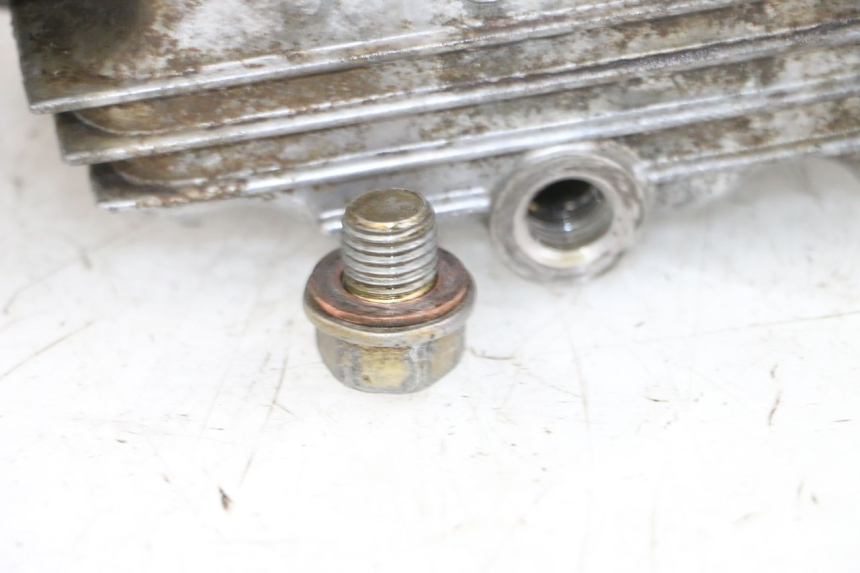 photo de CARTER MOTORE YAMAHA TTR 125 (2000 - 2020) - Primo piano ad alta risoluzione