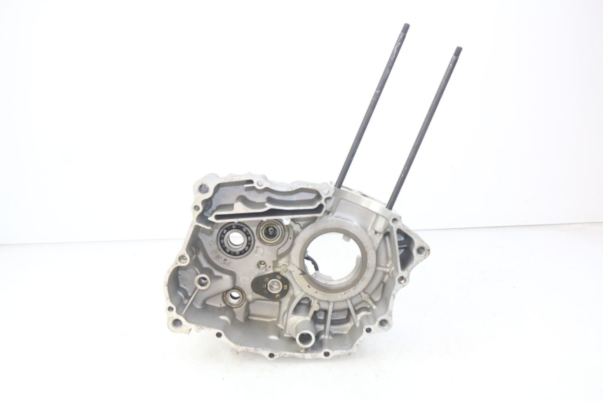 photo de CARTER MOTORE SINISTRO XTRM FACTORY DIRTBIKE BSE 150