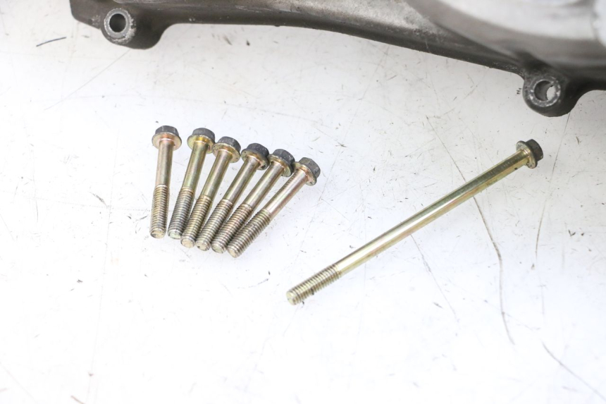 photo de CARTER VARIATORE QUADRO 4 4D 350 (2015 - 2018)