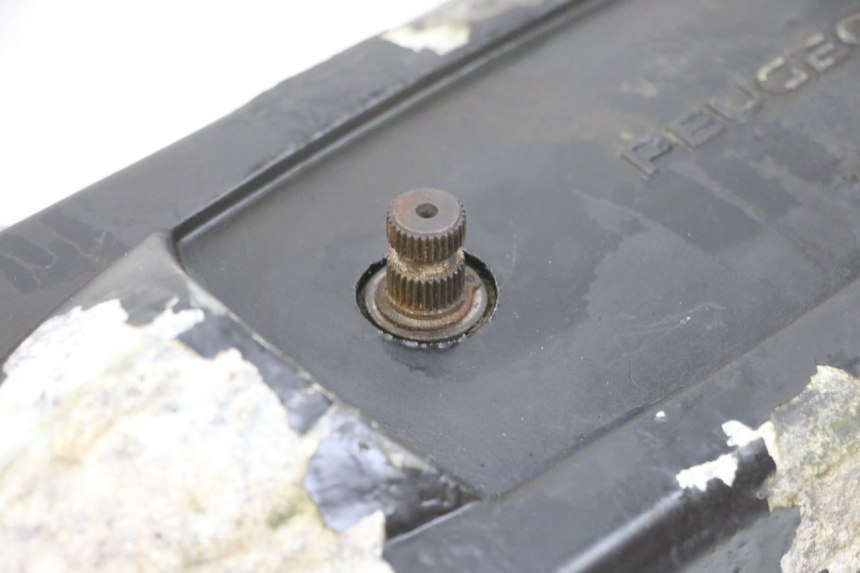 photo de COPERCHIO VARIATORE PEUGEOT LUDIX 50 (2008 - 2017) - Marcature e riferimenti originali