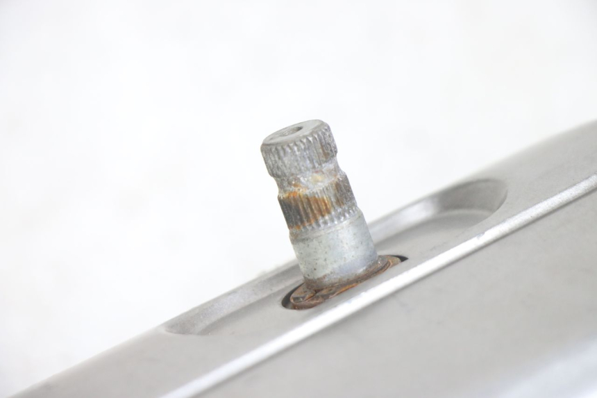photo de COPERCHIO VARIATORE PEUGEOT TWEET 4T 50 (2014 - 2019)
