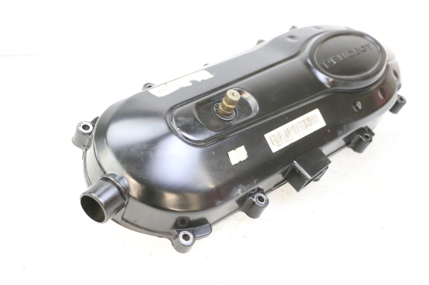 photo de COPERCHIO VARIATORE PEUGEOT TWEET 4T 50 (2018 - 2020)