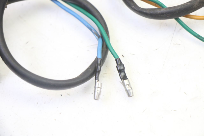 photo de FRECCE POSTERIORE STAHO FH 50 (2018 - 2019)