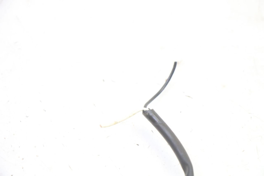 photo de FRECCE DESTRA ANTERIORE TRIUMPH SPRINT 900 (1995 - 1998)