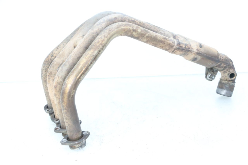 photo de COLLETTORE YAMAHA FZ6 FAZER S2 600 (2007 - 2011)