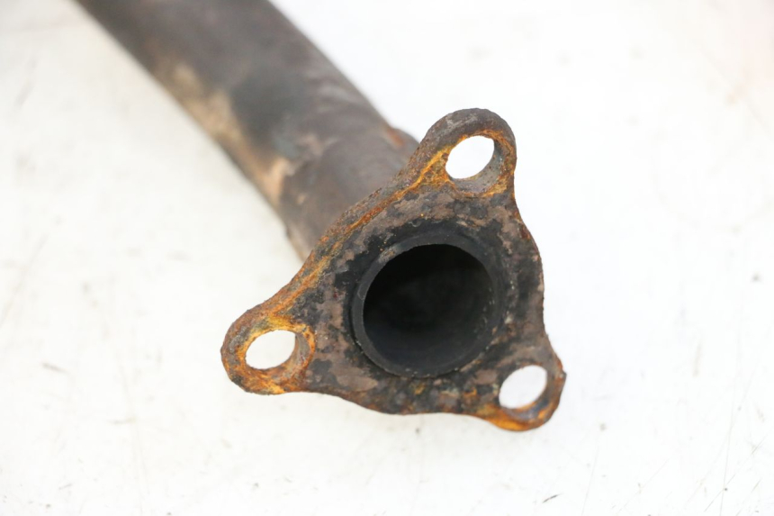 photo de COLLETTORE DAELIM HISTORY 125 (2001 - 2002)