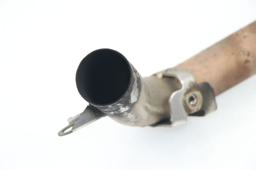 photo de Collettore TRIUMPH SPRINT RS 955 (2000 - 2001)
