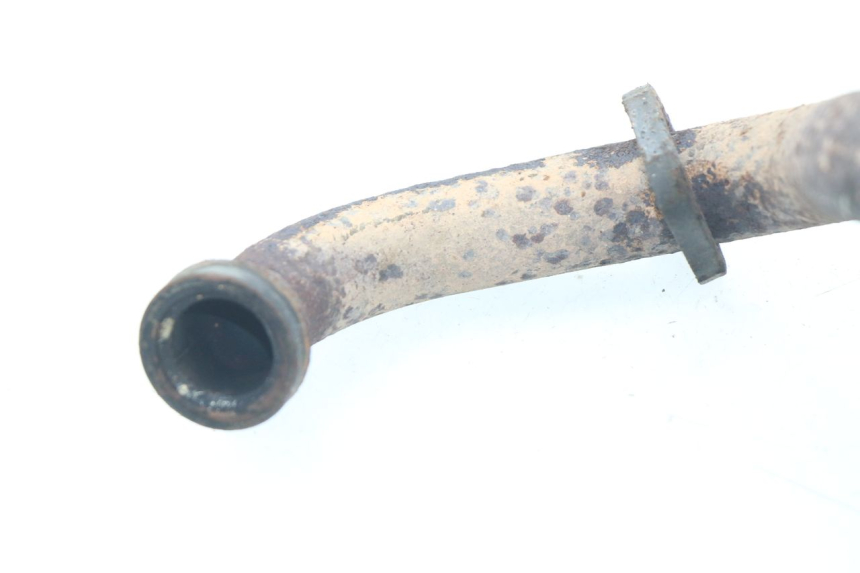 photo de COLLETTORI PIAGGIO X8 125 (2004 - 2007)