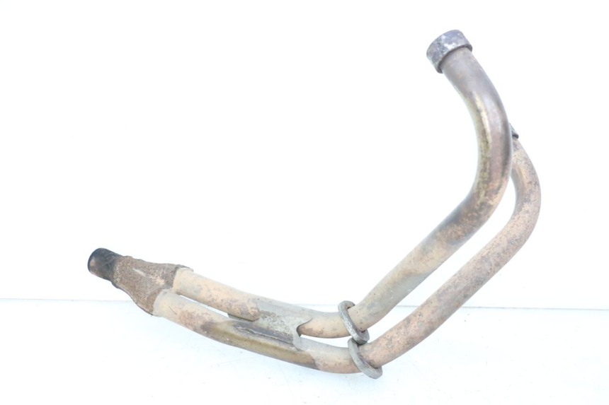 photo de COLLETTORE YAMAHA XJN DIVERSION 600 (2000 - 2003)