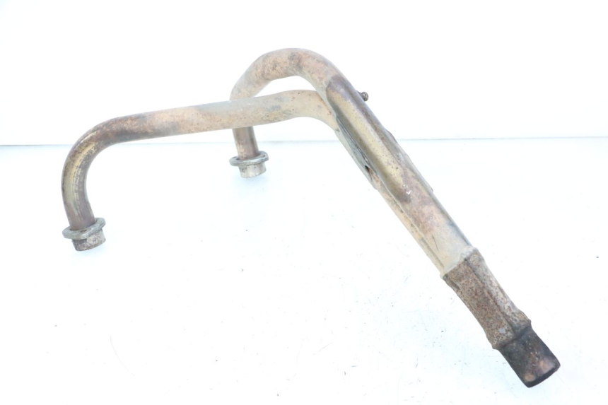 photo de COLLETTORE YAMAHA XJN DIVERSION 600 (2000 - 2003)