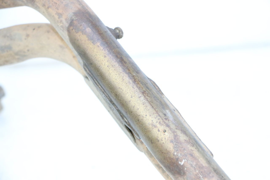 photo de COLLETTORE YAMAHA XJN DIVERSION 600 (2000 - 2003)