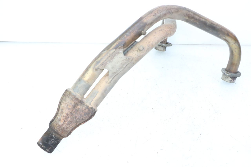 photo de COLLETTORE YAMAHA XJN DIVERSION 600 (2000 - 2003)
