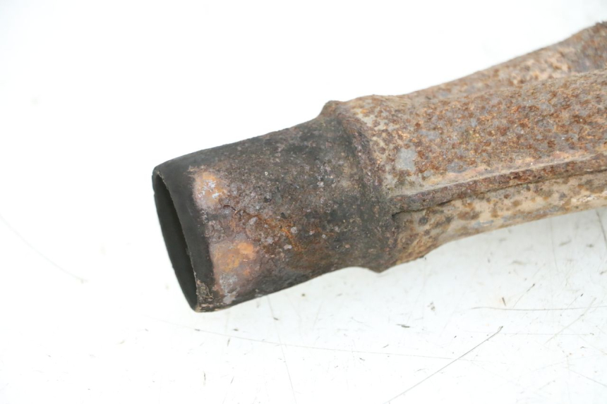 photo de COLLETTORE YAMAHA XJN DIVERSION 600 (2000 - 2003)
