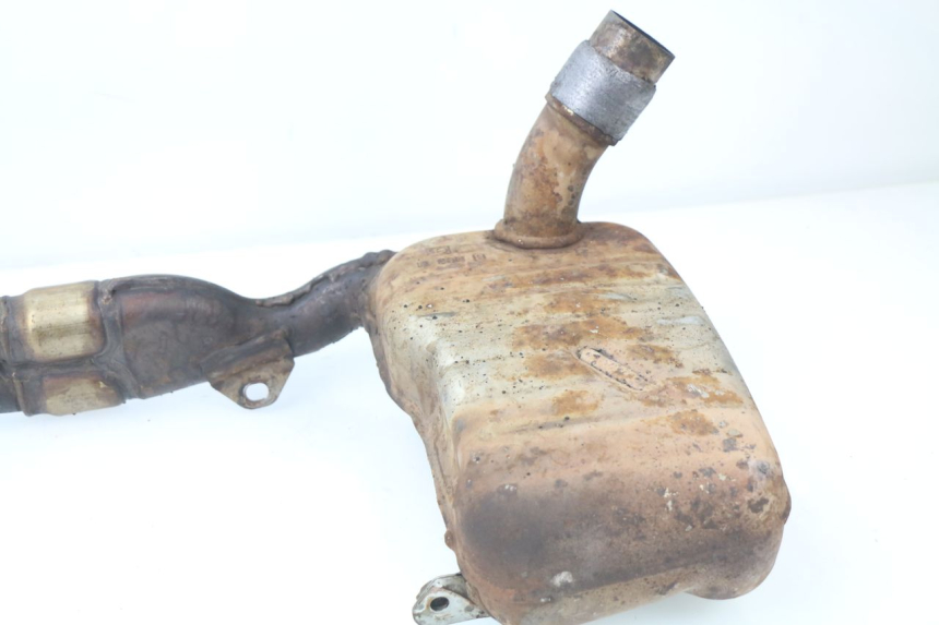 photo de COLLETTORI HONDA XLV TRANSALP 650 (2005 - 2007)