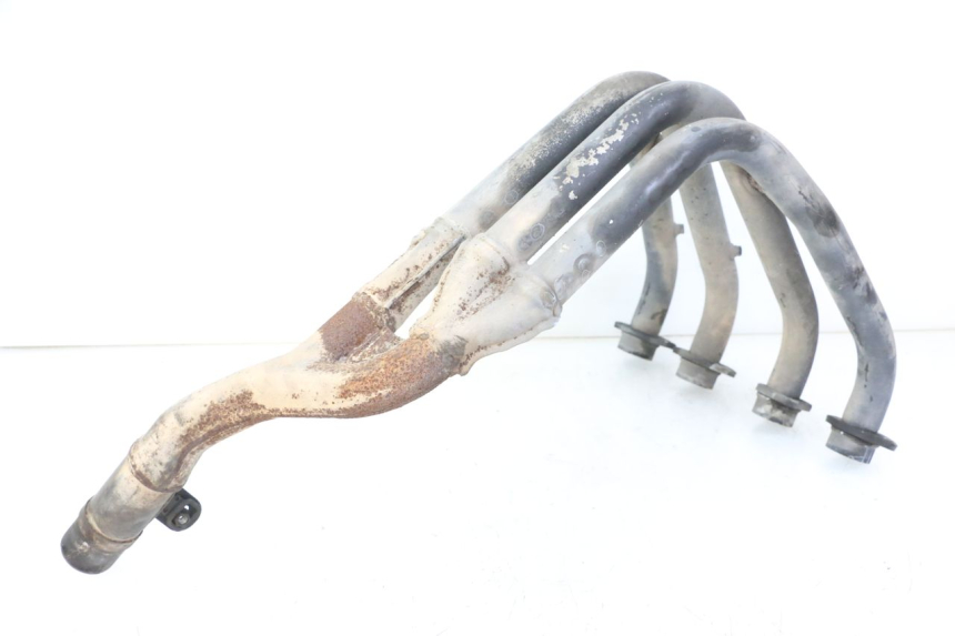 photo de COLLETTORE YAMAHA FZS FAZER 600 (2001 - 2003)