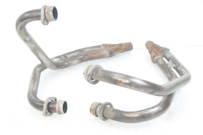 photo de COLLETTORE YAMAHA XJN DIVERSION 600 (2000 - 2003)