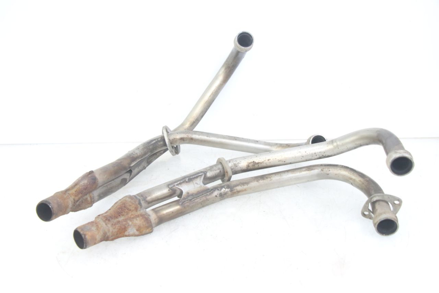 photo de COLLETTORE YAMAHA XJN DIVERSION 600 (2000 - 2003)