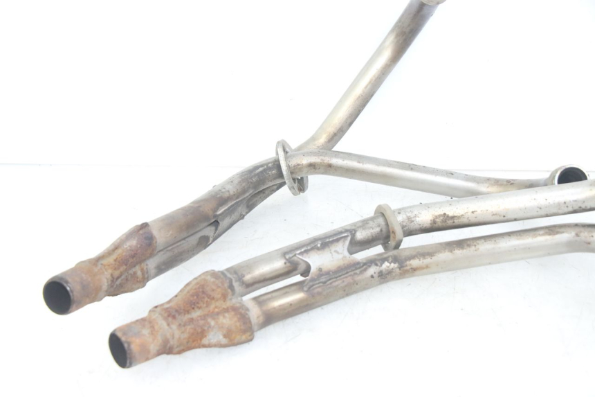 photo de COLLETTORE YAMAHA XJN DIVERSION 600 (2000 - 2003)