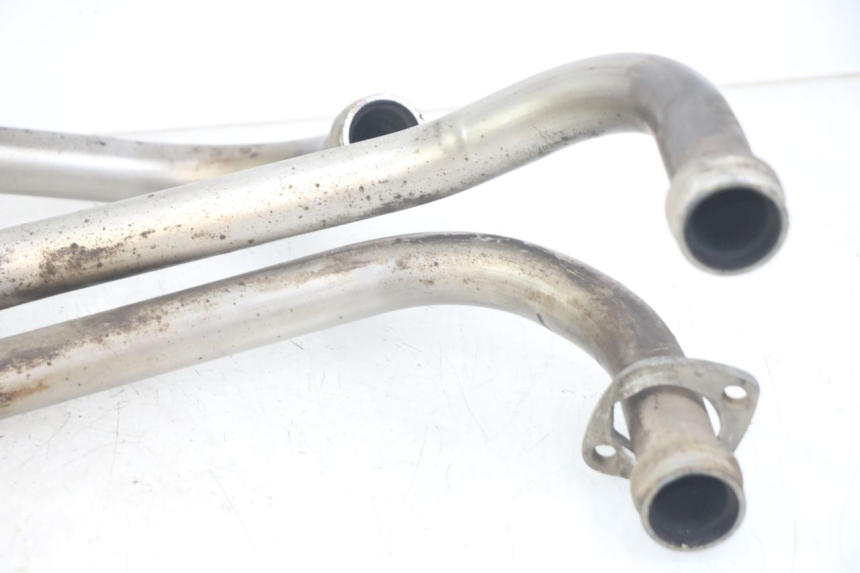 photo de COLLETTORE YAMAHA XJN DIVERSION 600 (2000 - 2003)
