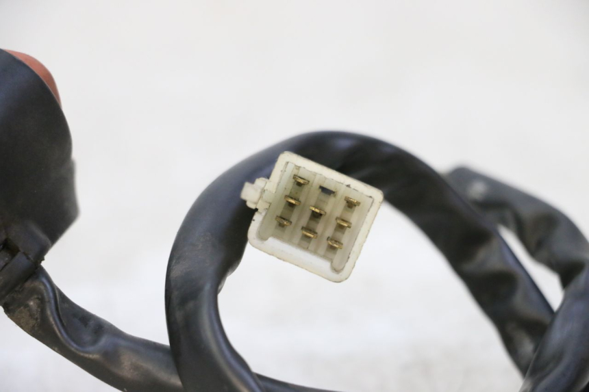 photo de COMANDO SINISTRO PEUGEOT ELYSTAR 50 (2002 - 2014)