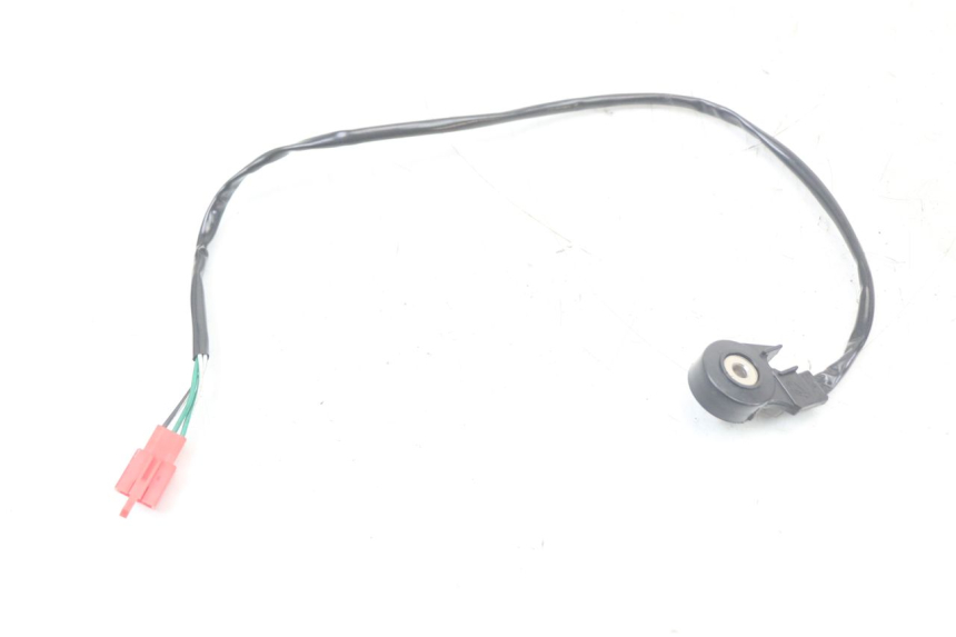 photo de INTERRUTTORE CAVALLETTO MASH LEGEND'R 4T 50 (2021 - 2025)