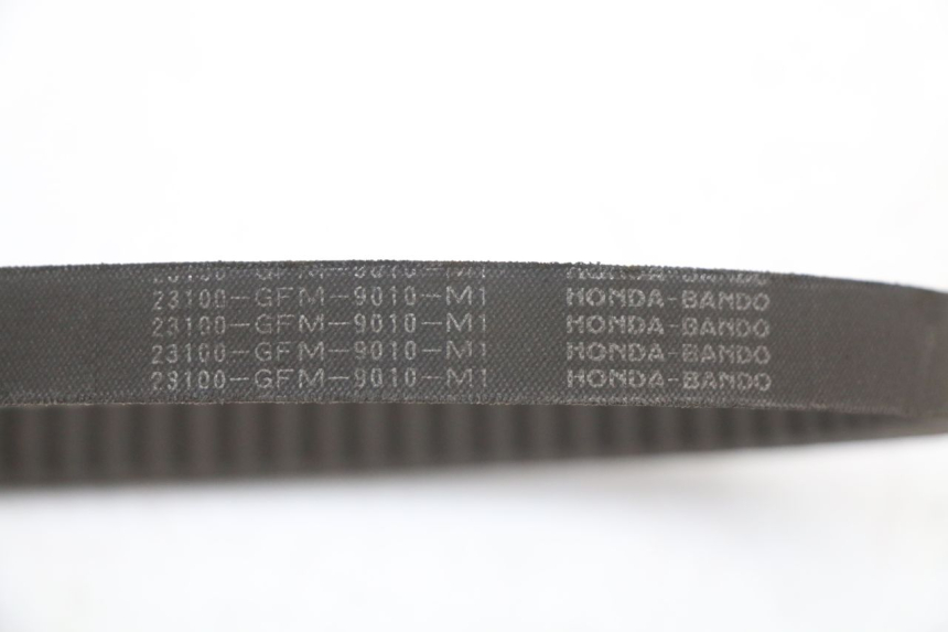 photo de CINGHIA HONDA NHX LEAD 110 (2008 - 2010)