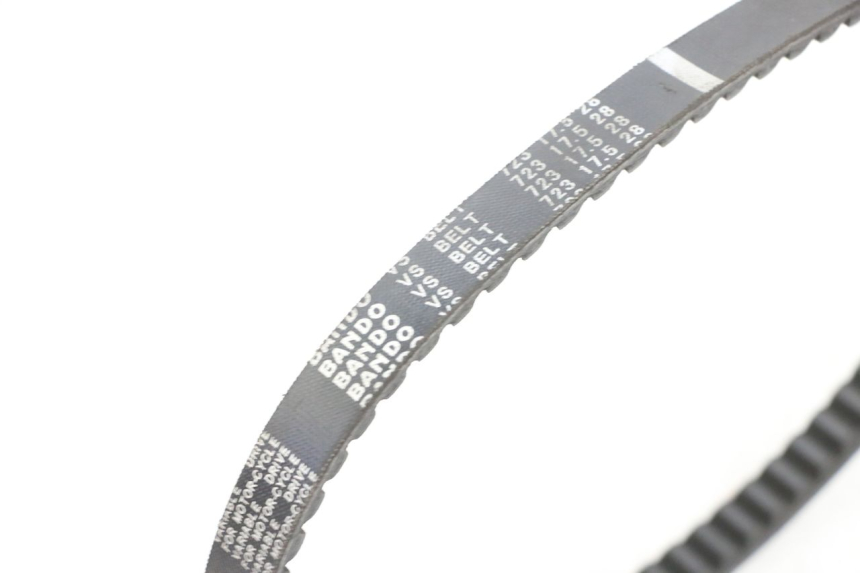 photo de CINGHIA PEUGEOT KISBEE 4T 50 (2018 - 2022) - Altra angolazione