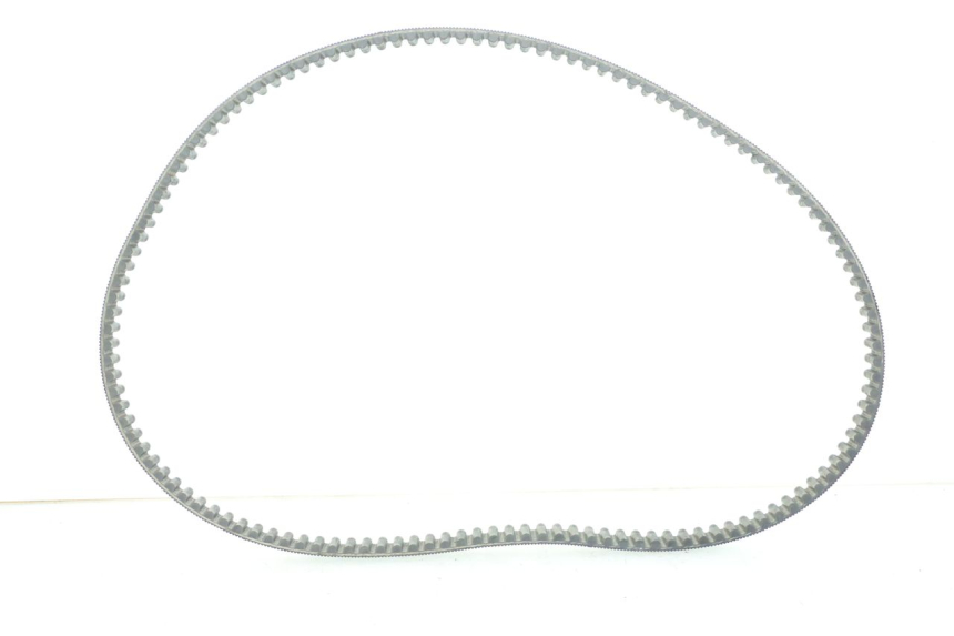 photo de CINGHIA HARLEY DAVIDSON SPORTSTER XL CUSTOM 1200 (2003 - 2004)