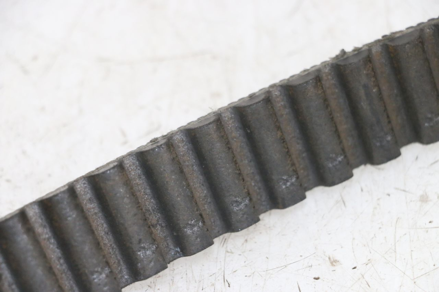 photo de CINGHIA HARLEY DAVIDSON SPORTSTER XL CUSTOM 1200 (2003 - 2004)