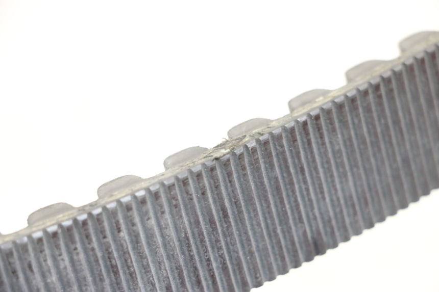 photo de CINGHIA HARLEY DAVIDSON SPORTSTER XL CUSTOM 1200 (2003 - 2004)