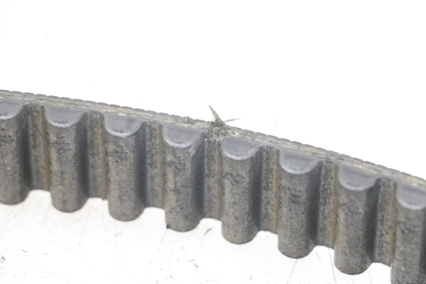 photo de CINGHIA HARLEY DAVIDSON SPORTSTER XL CUSTOM 1200 (2003 - 2004)