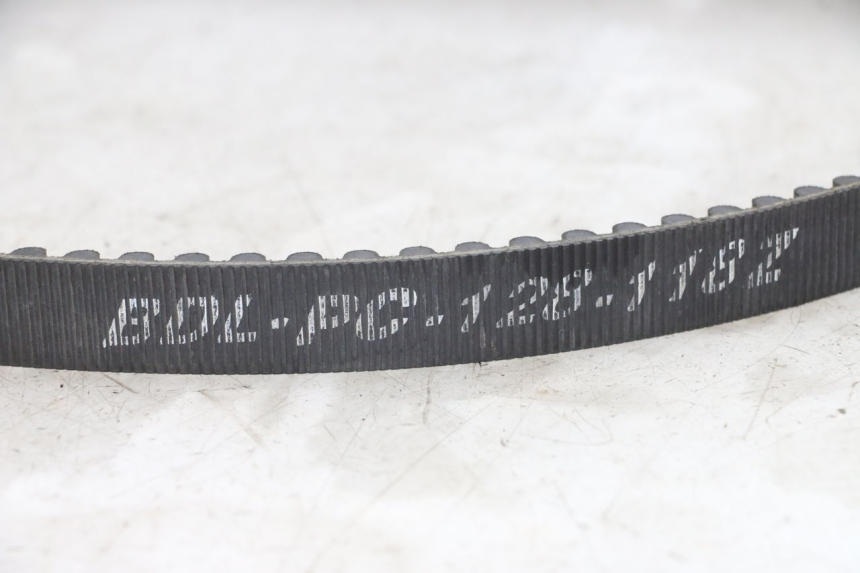 photo de CINGHIA HARLEY DAVIDSON SPORTSTER XL CUSTOM 1200 (2003 - 2004)