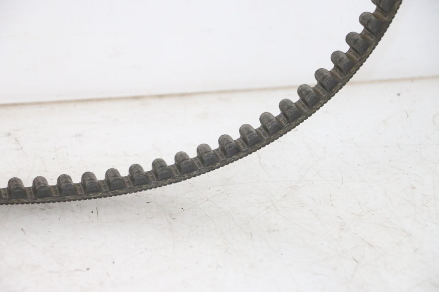 photo de CINGHIA HARLEY DAVIDSON SPORTSTER XL CUSTOM 1200 (2003 - 2004)