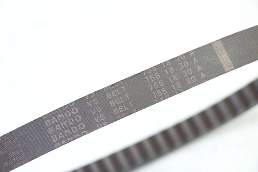 photo de CINGHIA PEUGEOT STREETZONE I 2T 50 (2018 - 2020)