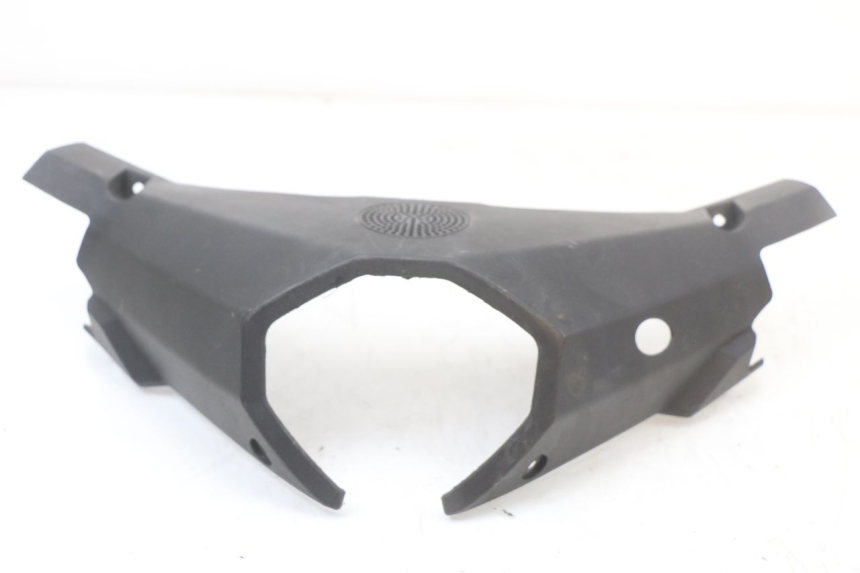 photo de COPRIMANUBRIO POSTERIORE LONGJIA EASY MAX 125 (2020 - 2024)