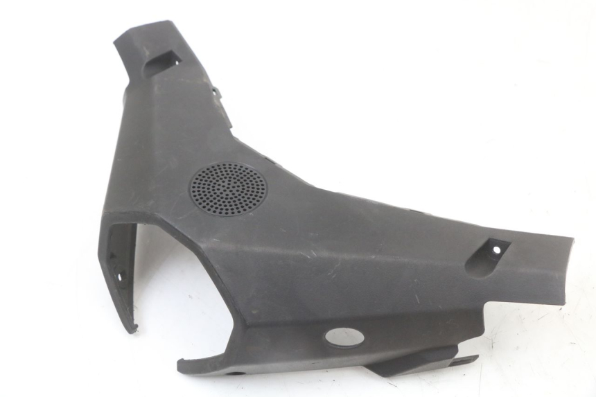 photo de COPRIMANUBRIO POSTERIORE LONGJIA EASY MAX 125 (2020 - 2024)