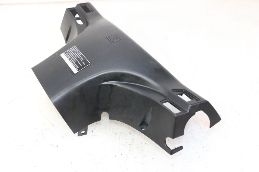 photo de COPRIMANUBRIO POSTERIORE DAELIM HISTORY 125 (2001 - 2002)