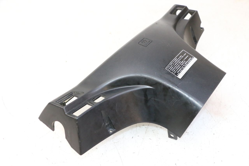 photo de COPRIMANUBRIO POSTERIORE DAELIM HISTORY 125 (2001 - 2002)