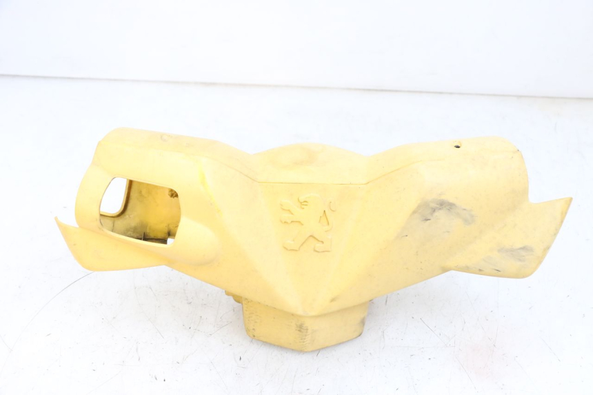 photo de MANOPOLE PEUGEOT LUDIX 50 (2008 - 2017) - Vista principale