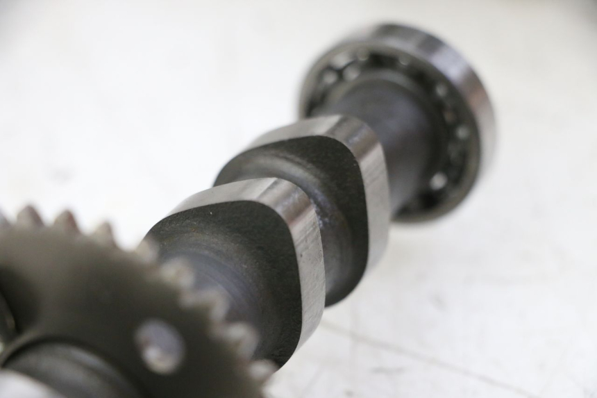 photo de TESTATA POSTERIORE HYOSUNG GTR 125 (2006 - 2008)