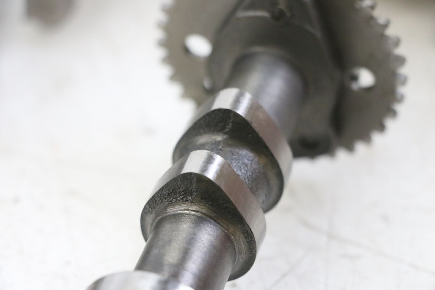 photo de TESTATA POSTERIORE HYOSUNG GTR 125 (2006 - 2008)