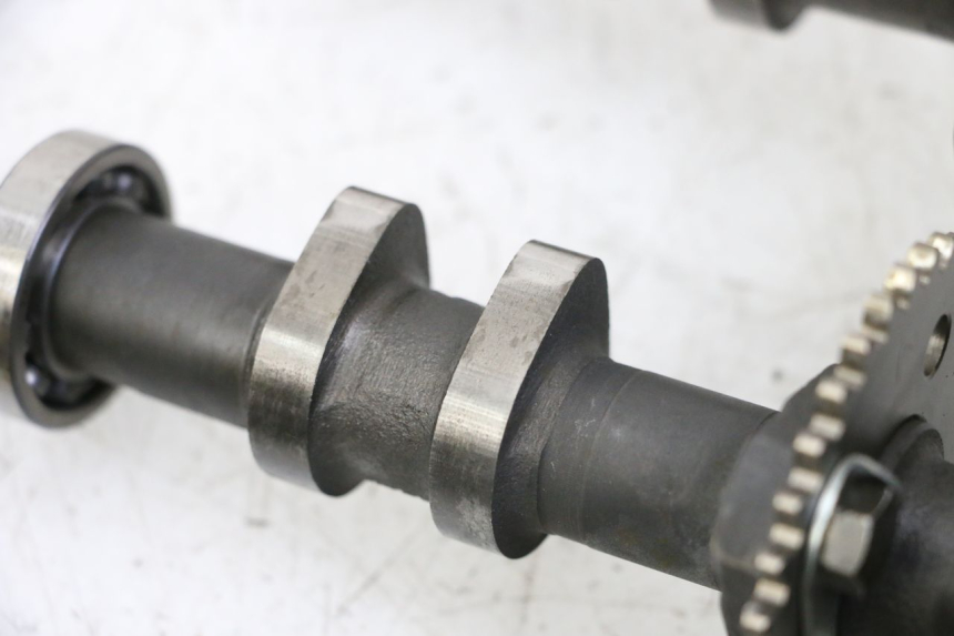 photo de TESTATA POSTERIORE HYOSUNG GTR 125 (2006 - 2008)