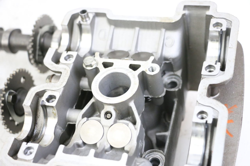 photo de TESTATA POSTERIORE HYOSUNG GTR 125 (2006 - 2008)