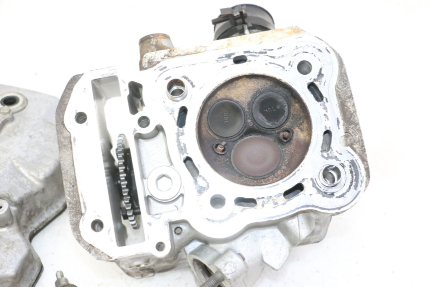 photo de TESTATA POSTERIORE HONDA NTV DEAUVILLE 650 (2001 - 2006)