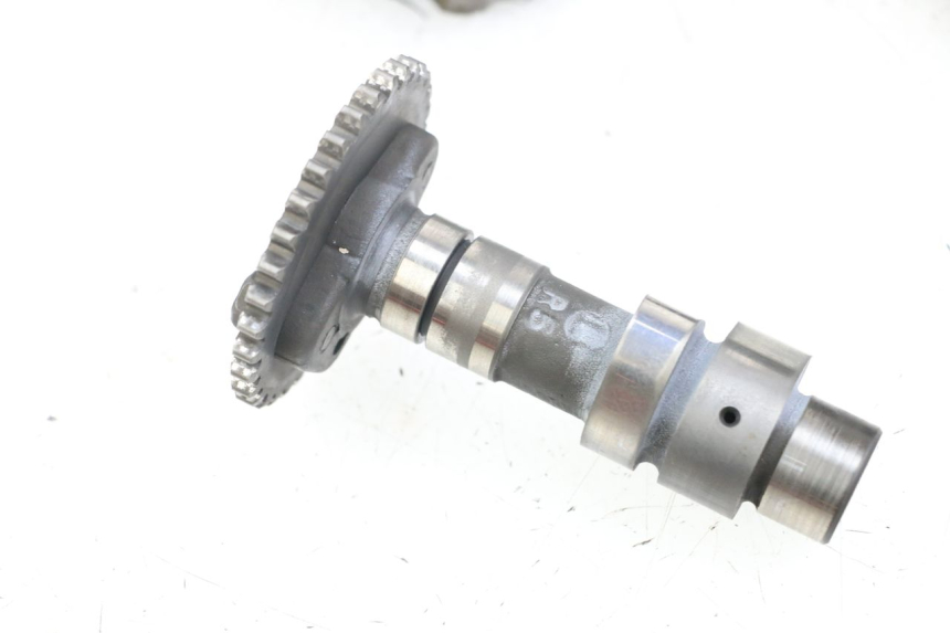 photo de TESTATA POSTERIORE SUZUKI VL INTRUDER 125 (2004 - 2007)